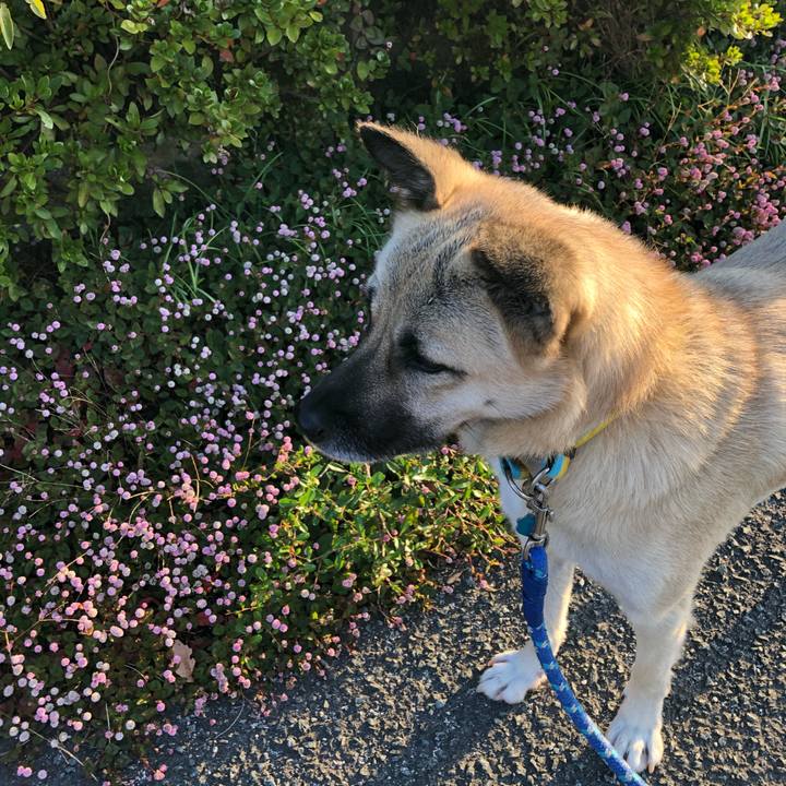 34c68c11 dced 4539 81c1 c85975627849 1540900190572