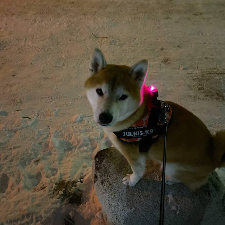 34c6c752 0f74 4ee9 8a39 7278dffaae7b 1609238193317