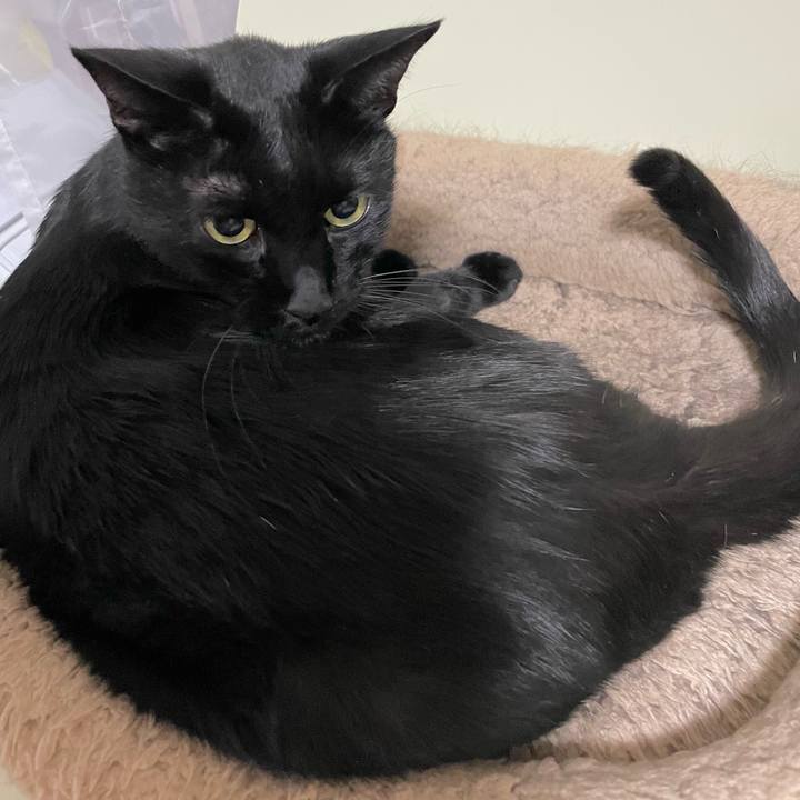 34c6c8a7 9f00 4f19 b1fa cc5a4fe89b1d 1662900266467