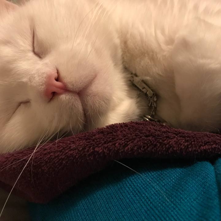 34c6d23c 8413 4861 be92 6c20094592c7 1512309552050