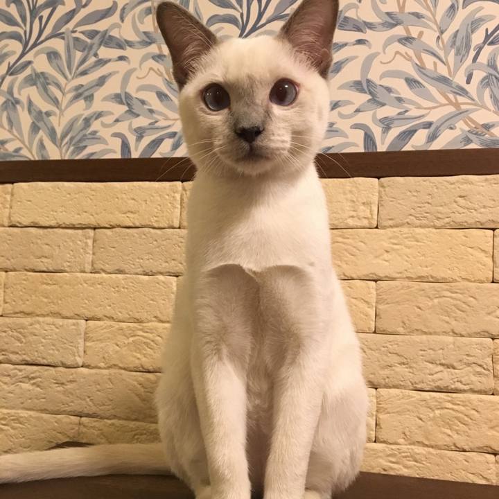 34c6da97 3da5 4dbd 8993 14beb58d57db 1736128909368