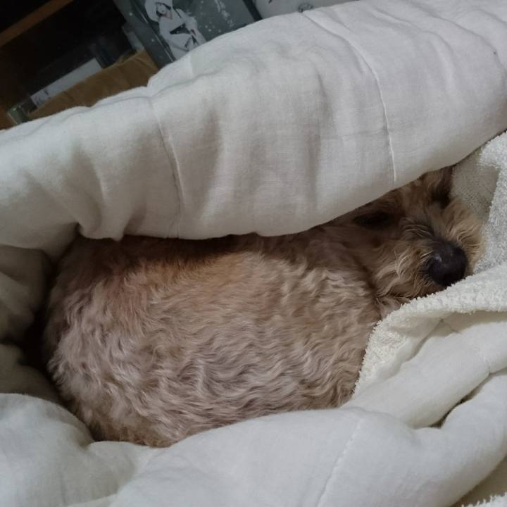 34c6fb31 d993 445d 8367 c6dee5dcbb9e 1528723416579