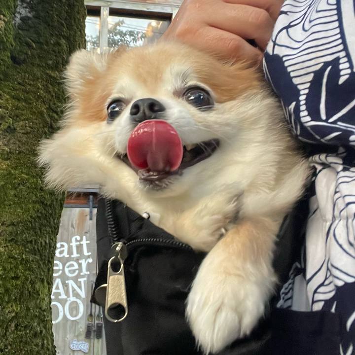 34c73cac 4356 4ff2 a88d 1552706fc611 1754483201556