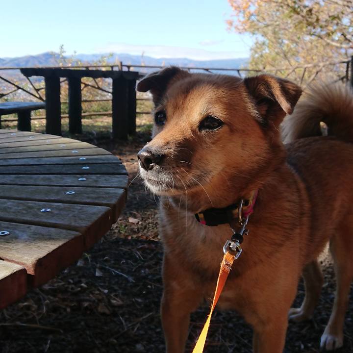 34c76469 c463 423b b84e 4752d103bdc1 1636641566798