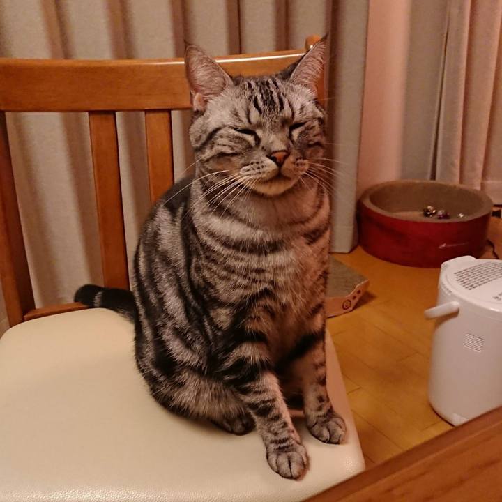 34c76f07 dc81 43dc 90cd 844d3dc58cba 1547938675135