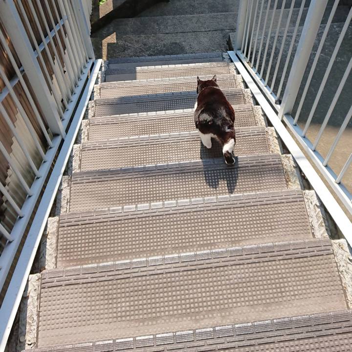 34c7750d 206f 40e3 bb7a b32efb0990e2 1588117263480