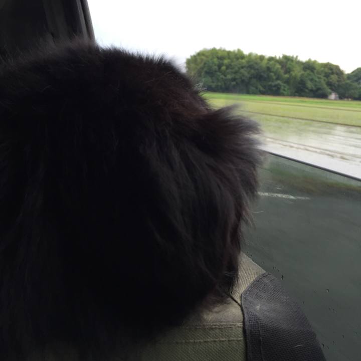 34c77e3f cba5 45aa abd7 c6ff61f54ea7 1529705714711