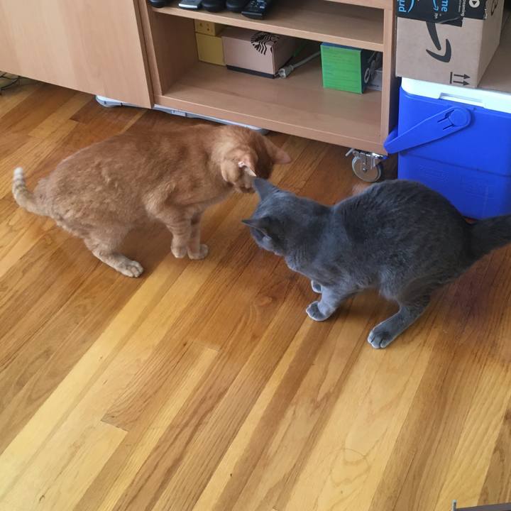 34c7c14e 6102 451a 9979 a8b098cbfd4b 1632875622467