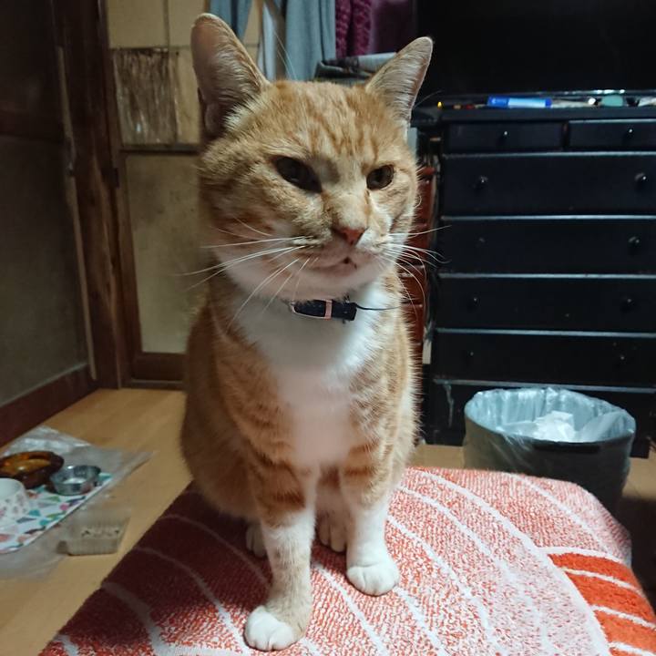 34c7dd5d b9a7 4b4d ad19 7a2f837693cf 1606246776535