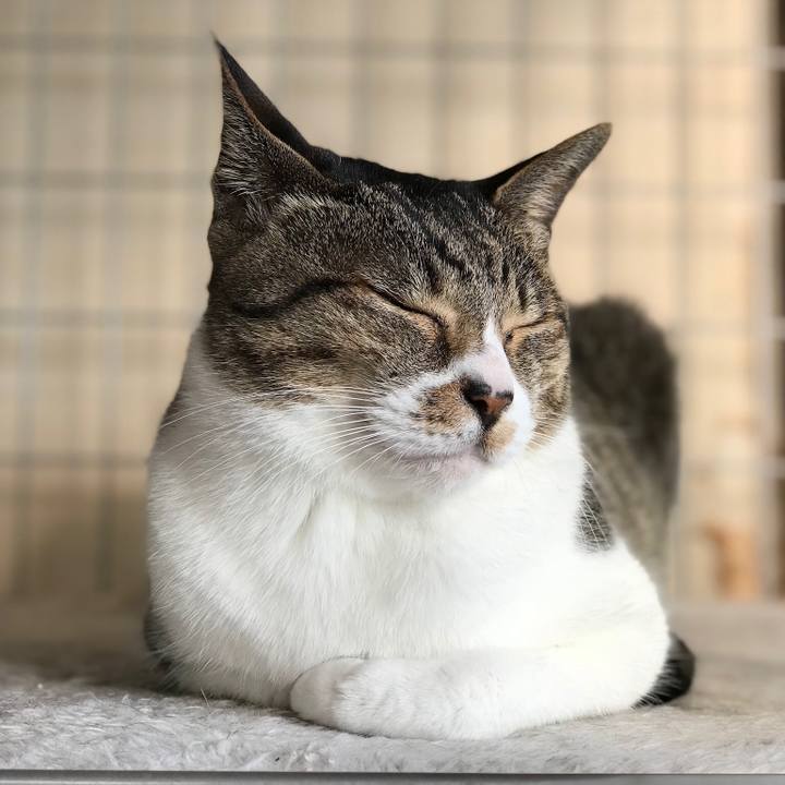 34c7e7ea b7fe 4dc4 bfe7 a0de4bdc059b 1516064609137