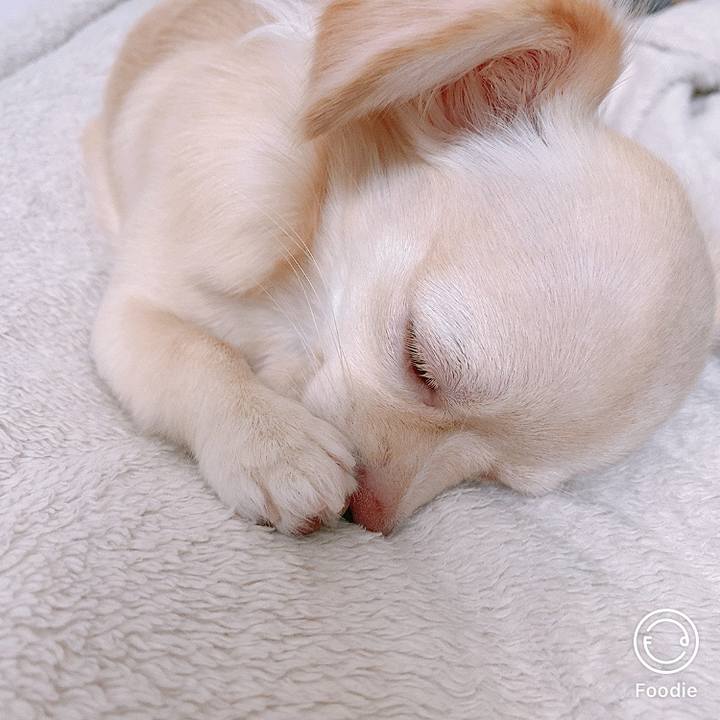 34c7e897 82ab 40d8 9e86 a849998449bd 1601938465125