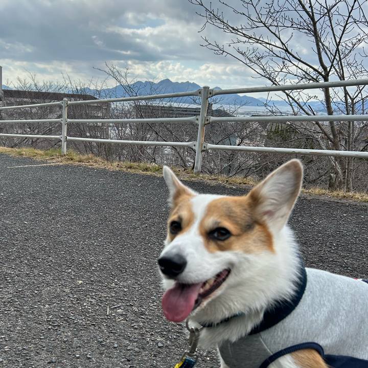 34c7ed9c 7f04 4bfd ad7a ed34a43b89bd 1767841949144