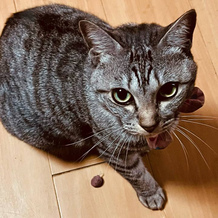 34c80acf 66df 462e 9894 8f043a8ef20f 1766287009697