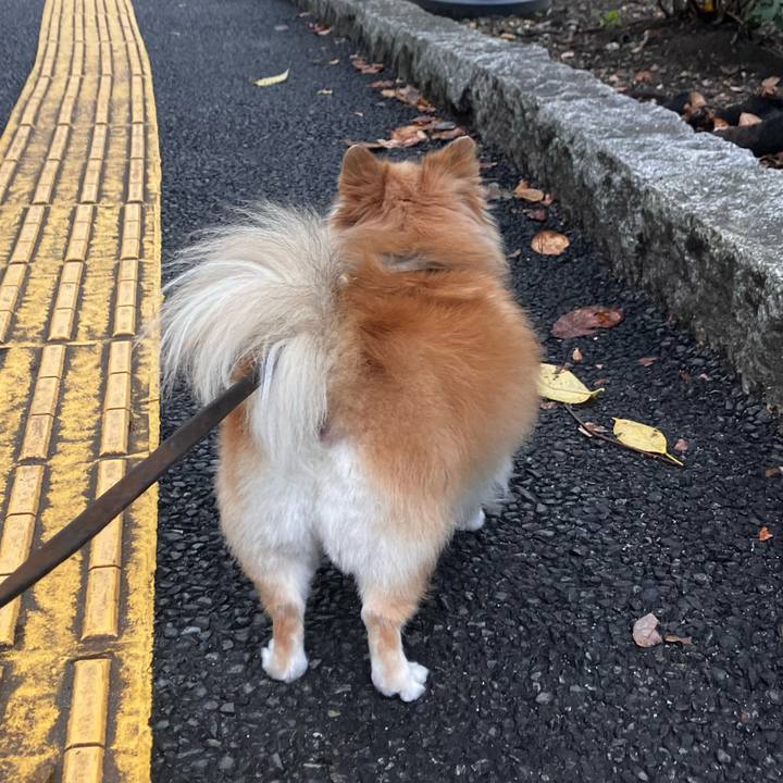 34c8198c ceac 40a2 9a66 1628ef346b1b 1758291305394