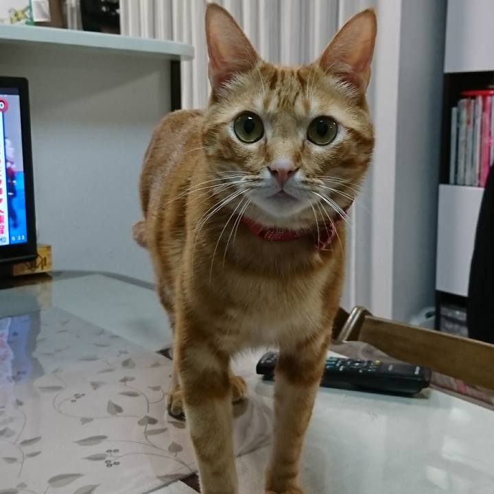 34c81eb6 8dd2 4eb5 91c8 9dacb61dabe3 1519335370640