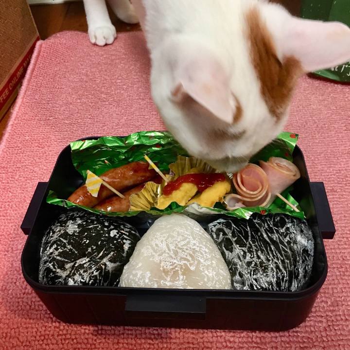 34c83c19 7cf9 482d a7c8 df8ddf0114df 1515368275293