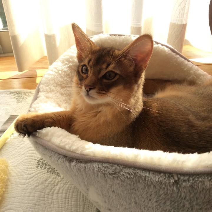 34c84601 e28c 48b4 a61d 44aa2baba8a4 1573980788322