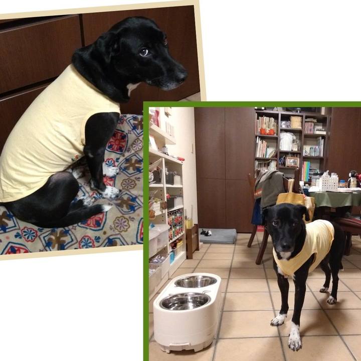 34c847c3 eef4 4c6a 9a39 c10b59263b18 1610708871646