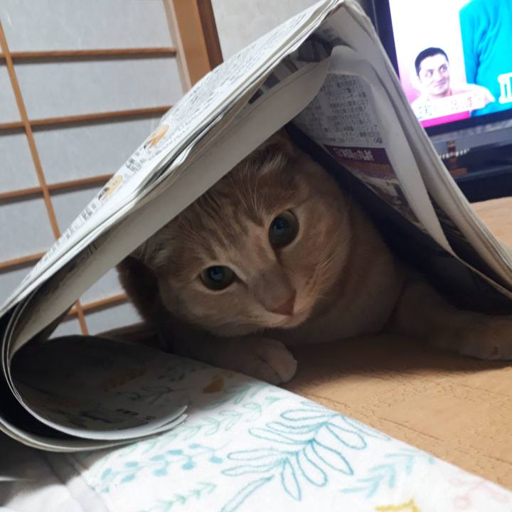 34c848c4 c79e 4196 9e3a b06e95d3426b 1584968443324