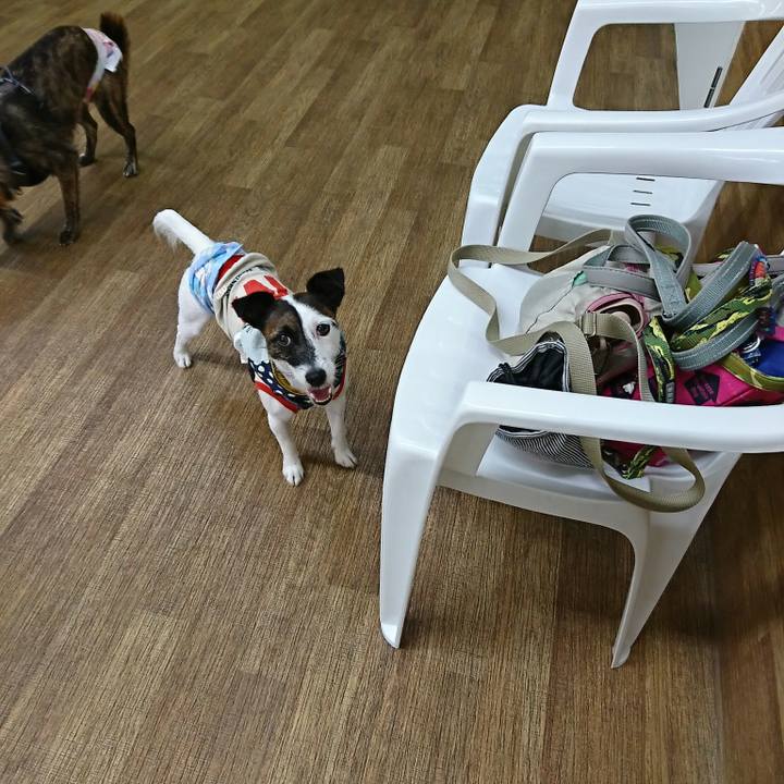 34c860f0 c5b6 4c30 8fee 461cd6bece23 1532167451807