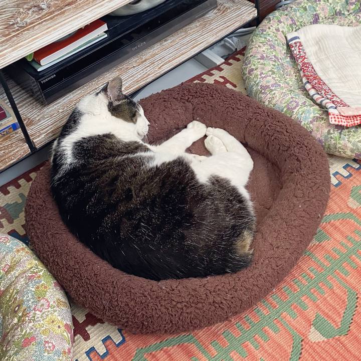 34c8a3d8 db9e 49b7 820d 356b6a7b2f54 1588405631184