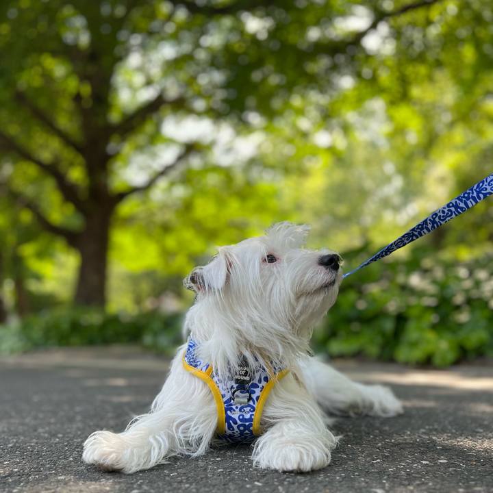 34c8bdd2 27c6 412b b72f 40289e428f22 1746506067458