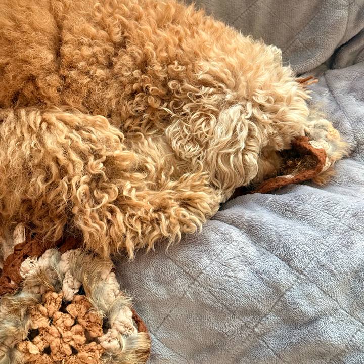 34c8ce0e 4af4 45e3 b64a 2f56fe21de50 1771202759243