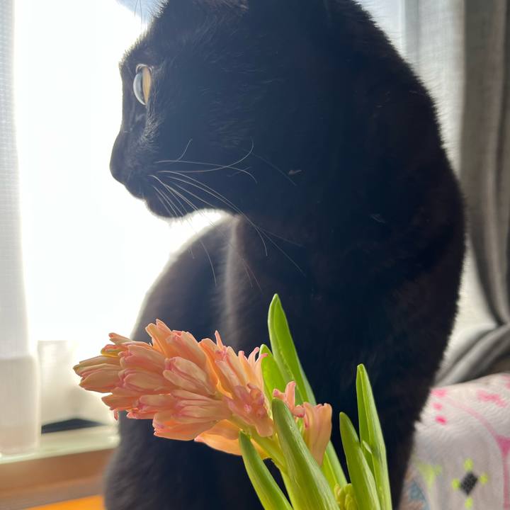 34c907ac 3934 479a a24c 6a6423d8019f 1740703625630