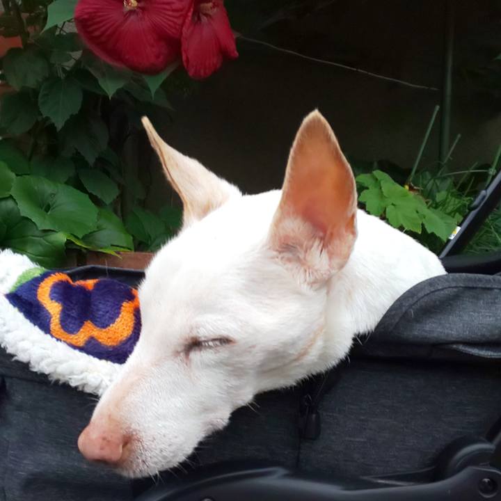 34c91ef2 d5ba 42fb 8b6a 1c8ae574d354 1593912275867