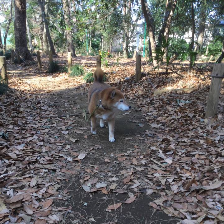 34c9bbb0 f6fc 4e5f 957d 47e865f17256 1613016833278