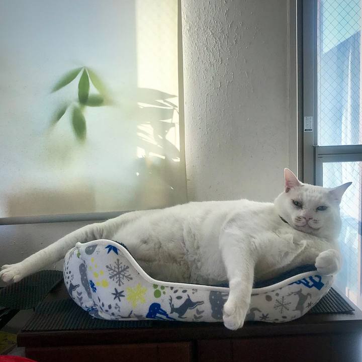 34c9c0e4 d35f 4a8d ab62 a0f40e061b67 1611756366064