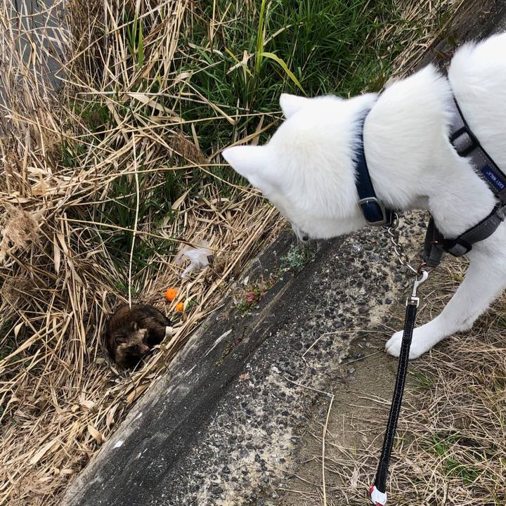 34c9d751 4076 496e abe2 7e490dd32993 1550829793329