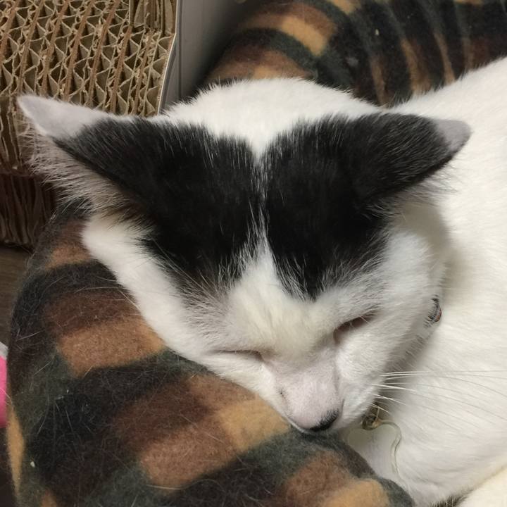 34ca2295 df6b 4361 ba64 8e2c8bca2b7e 1508940559631