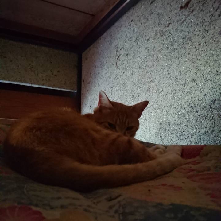 34ca2371 8d78 4bfe 9811 c06ff4644300 1595544472204