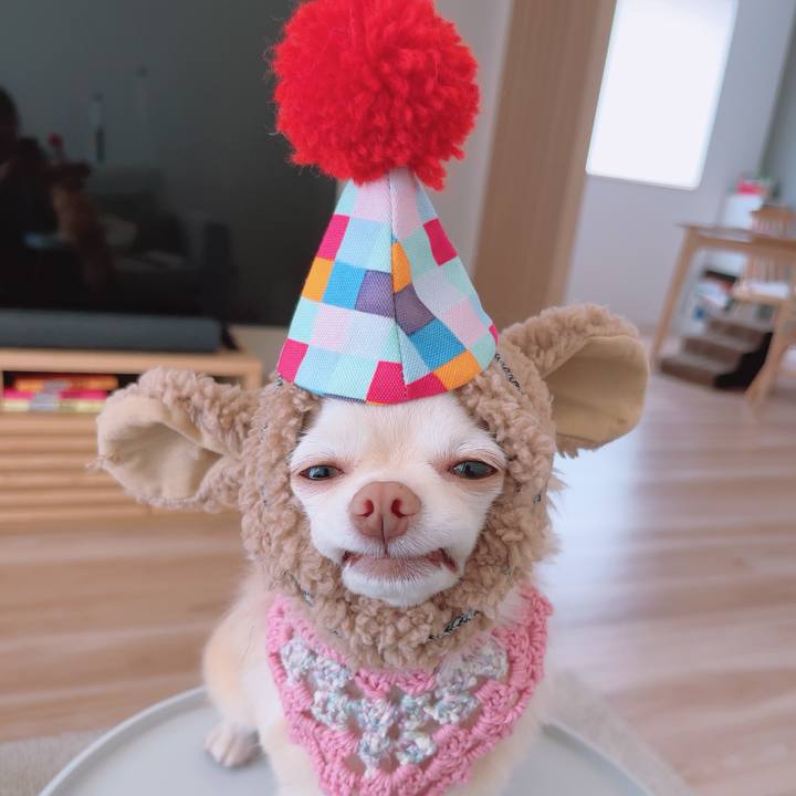 34ca38a0 2788 46e4 97f5 fdca4fe4d9b8 1695813786226