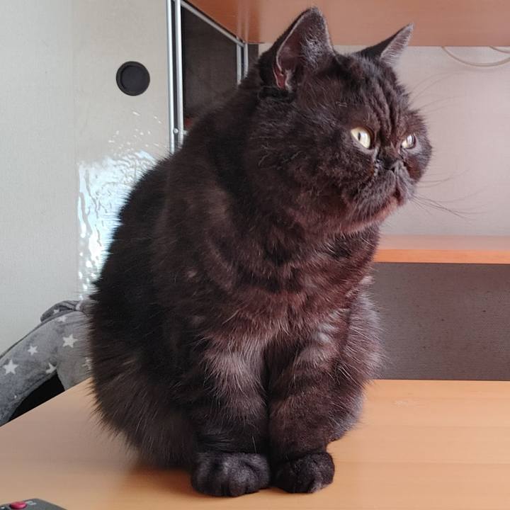 34ca5071 307e 4a90 9b33 20f9f3973822 1637479122442