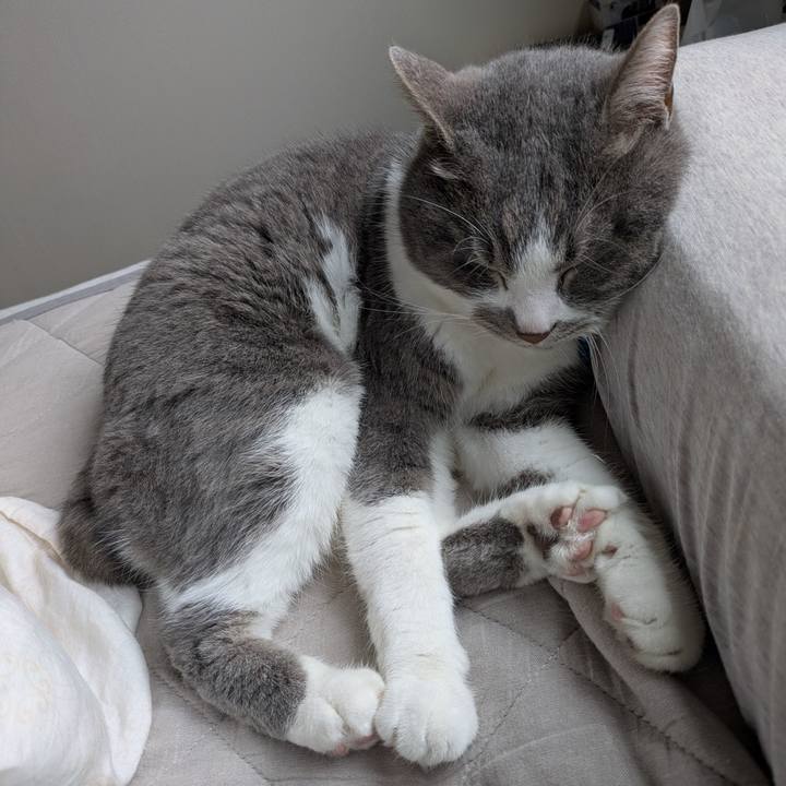 34ca9e5a 9566 4b83 88d2 6724cce106fb 1745374027520