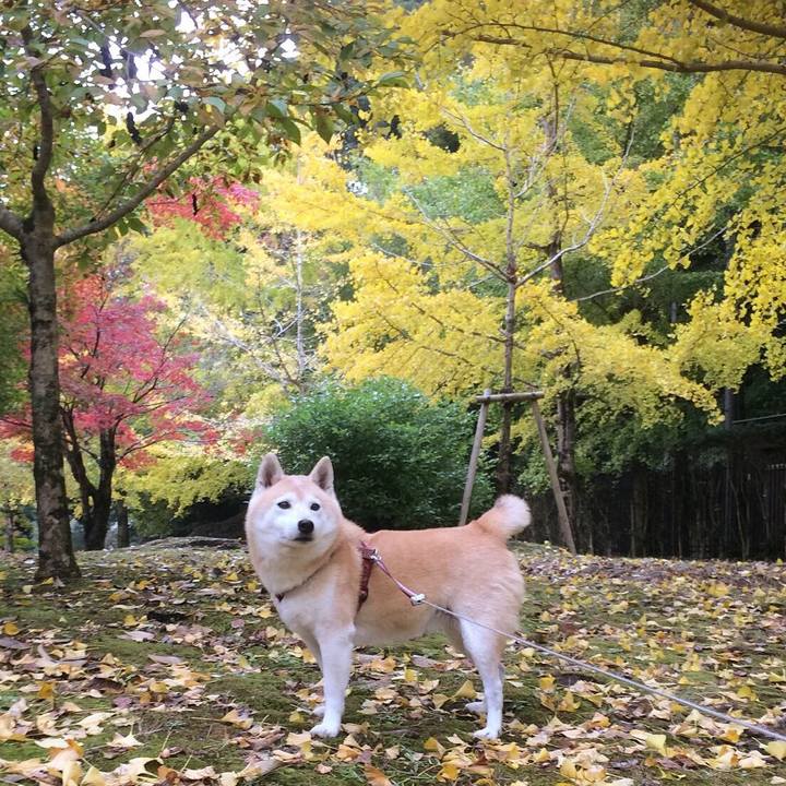 34caaa73 88d2 4386 b5ec 6500ec3f0d9a 1582554372834