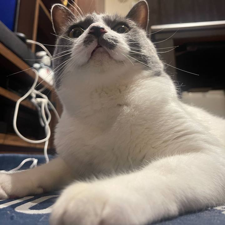 34caf280 3b8c 483c be2c 147a0692f417 1719837293493