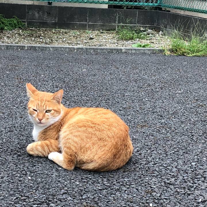 34caf2e0 2349 47a8 8569 1d3ee107df49 1538571012042