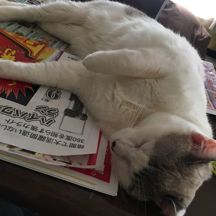 34cb34c3 c744 466c 845f bcfe1be678da 1549848106492