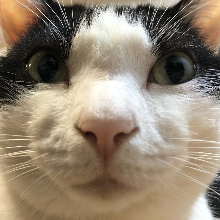 34cb3c3a ea75 46a9 920a 3c37d7e99dda 1570440374946