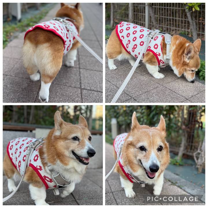 34cb459e 3822 4a82 a010 7de8d2a0aef5 1765959562242