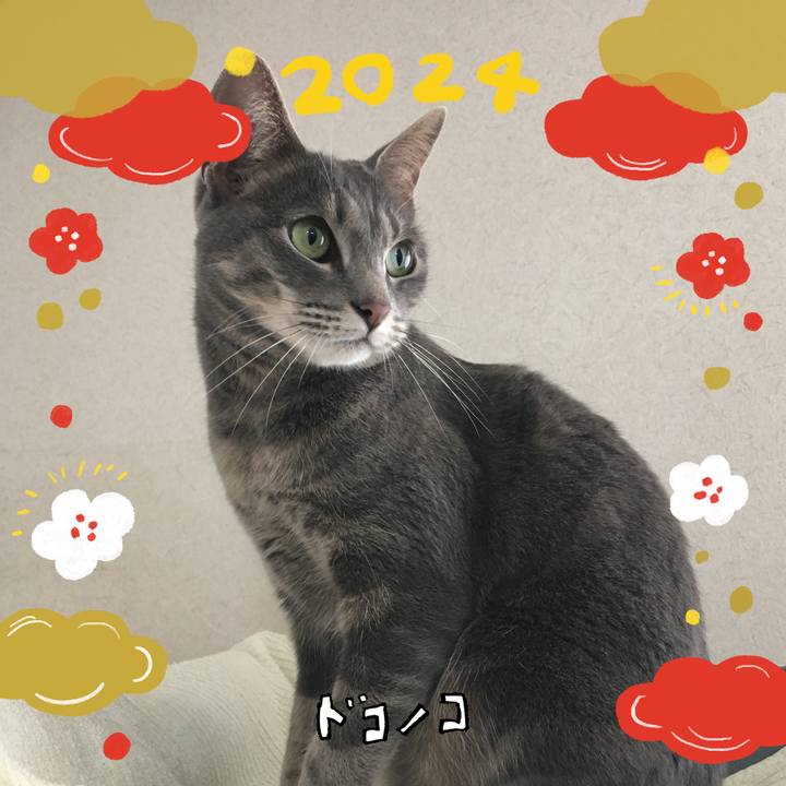 34cb7367 b598 4fe4 a9af 7ce8ff6534b3 1704280087401