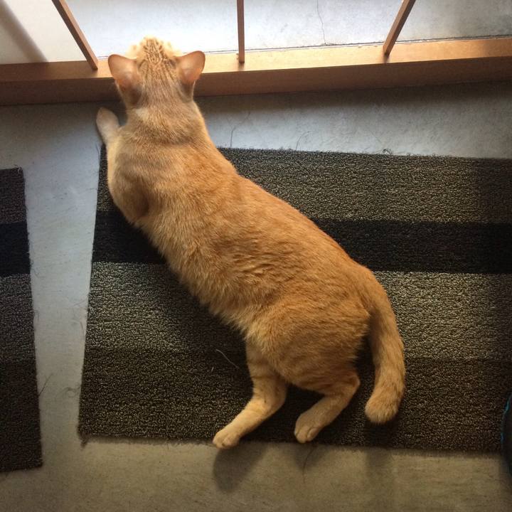 34cb86ab 3efa 4440 a97b d562c7b8fb9f 1535758768365