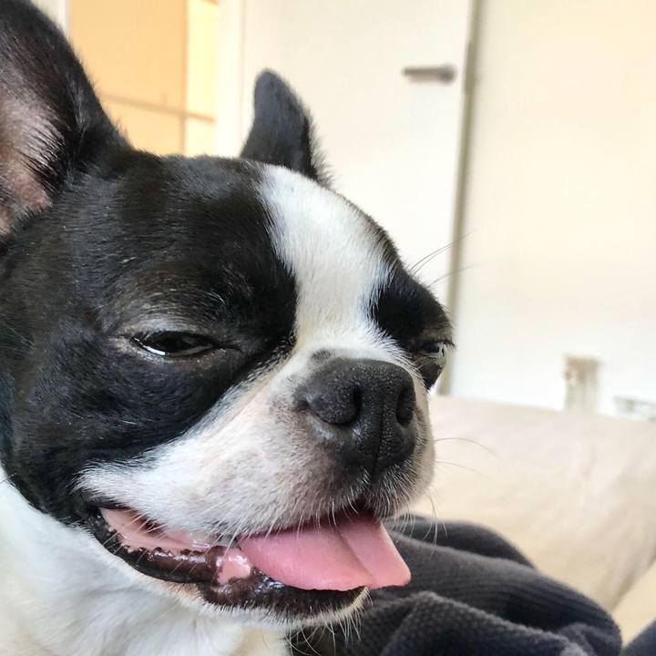 34cbaaf3 243f 4aef 8f6b 4b8c58533235 1534488571405