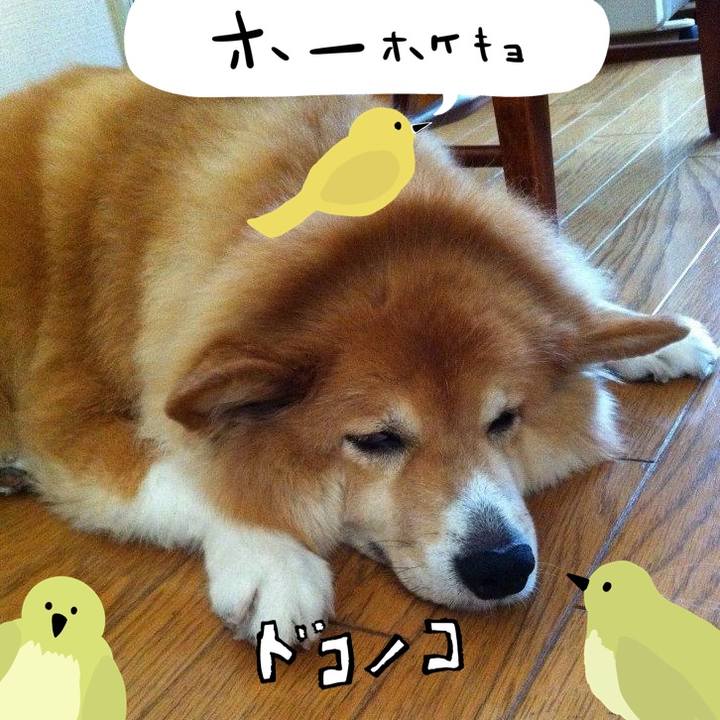 34cbf60c 4ae9 4209 985a d58bdae43d27 1711239893876