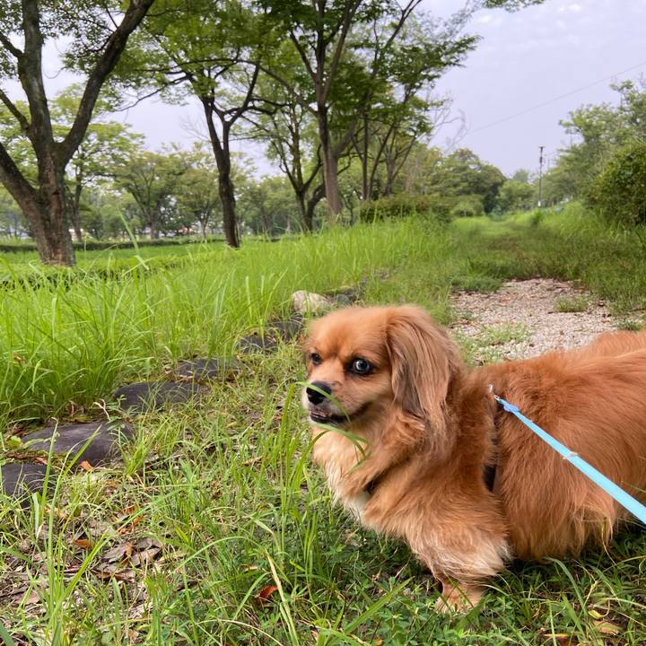 34cc1217 5aa3 4995 b952 c3dd2957485f 1596576684965