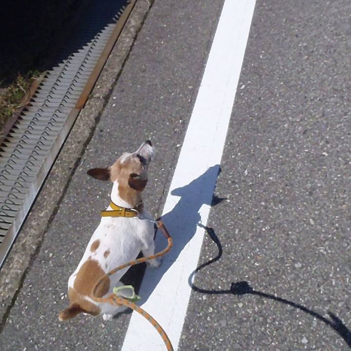 34cc4421 4d3f 4380 860f 10dcf34d6930 1526096056791