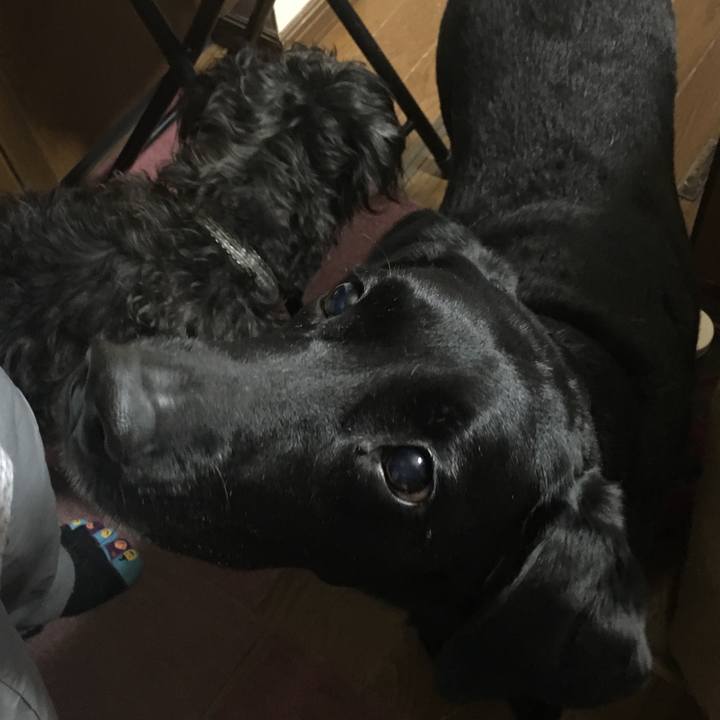 34cc52f8 3e5f 47ae bb2a d5b6d1adbe72 1518256918129